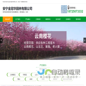 安宁金冠华园林有限公司、云南绿化树木种植批发零售、云南绿化带植物种植公司、云南花卉植物树木批发、云南苗圃种植公司、樱花冬樱花山玉兰老人葵批发零售、安宁园林绿化树木公司、云南安宁苗圃种植基地